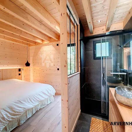 Le Basalte Chalet Murol